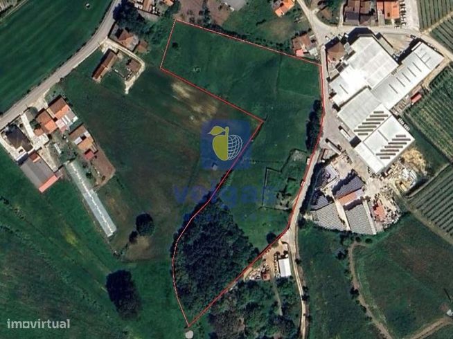 Terreno urbano com 15.867 m2 em Cela, Alcobaça,  e ruína de 336,30 m2-1