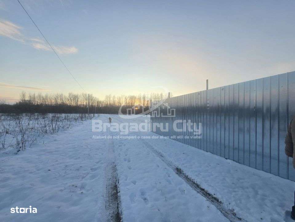 Teren acte la zi str Oltenitei Teghes Domnesti-4