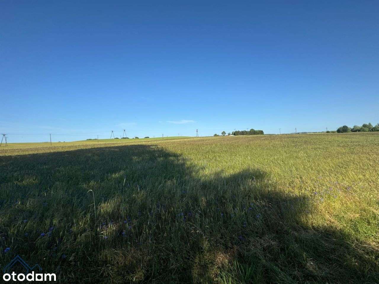 Wyjątkowe siedlisko o pow. 2,98ha - Nowogardek - Pełny obrazek: 3/7