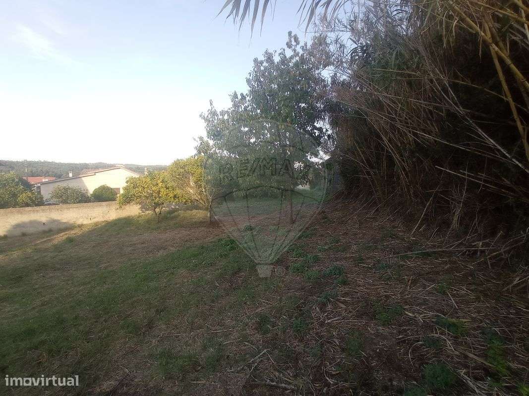 Terreno  para venda - Grande imagem: 5/23