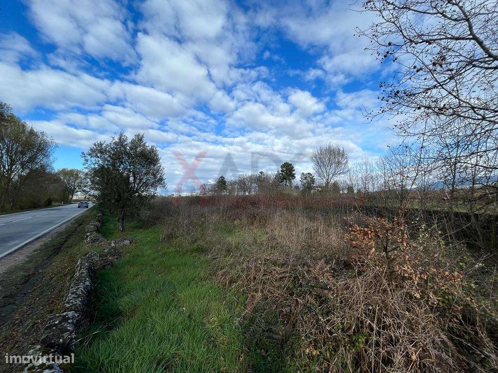 Terreno - Grande imagem: 2/8