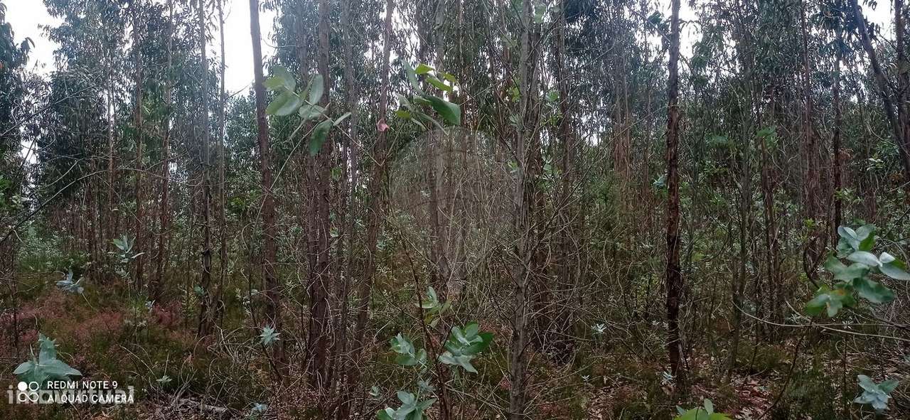 Terreno  para venda - Grande imagem: 2/6