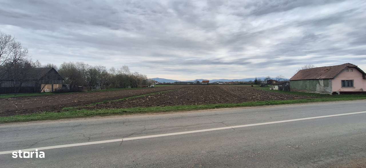 Teren intravilan pentru case in centrul Podu Oltului de 5700mp, 28 Eur - Imagine principală: 5/8