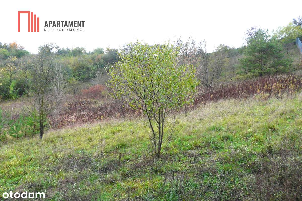 Oferta Tylko Dla Konesera, Prestiż  w mieście! - Pełny obrazek: 4/5