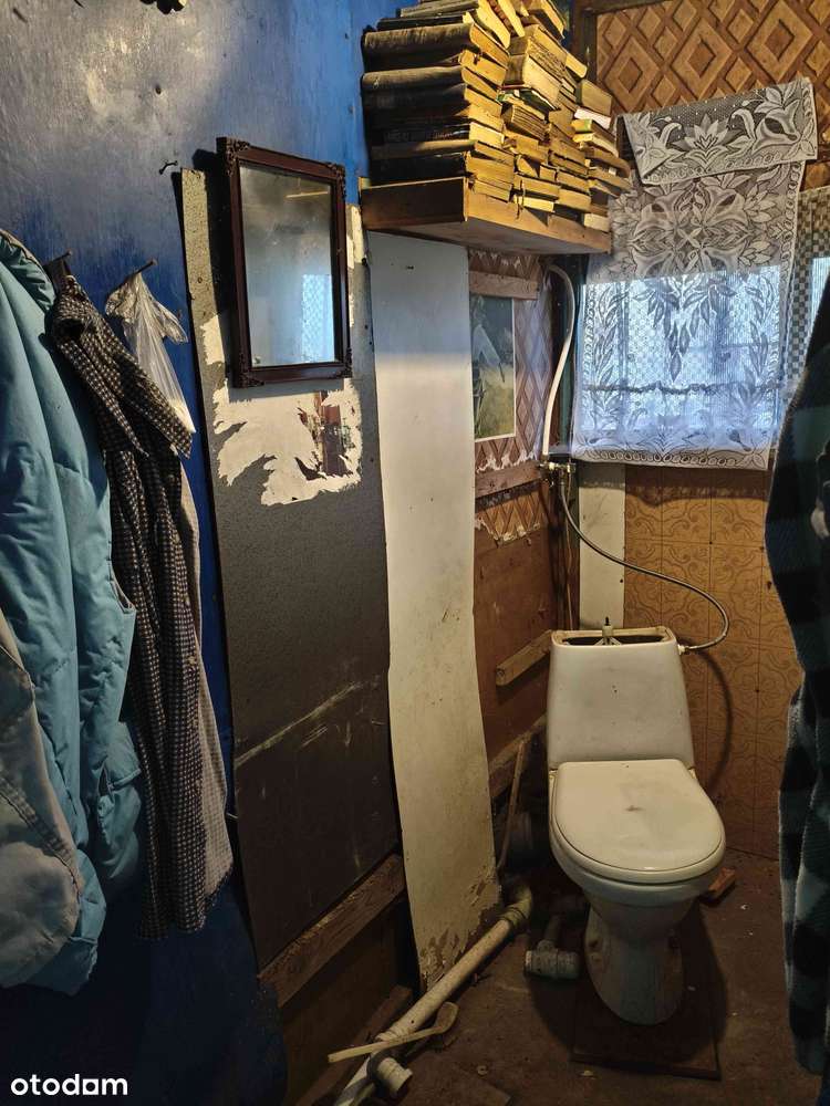 Działka ROD Kolejarz w Bydgoszczy! - Pełny obrazek: 3/8