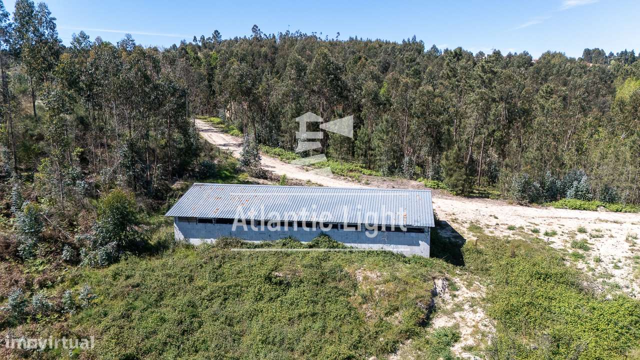 Quinta com 33 Hectares e acesso a Rio - Marco de Canavezes, Porto-14
