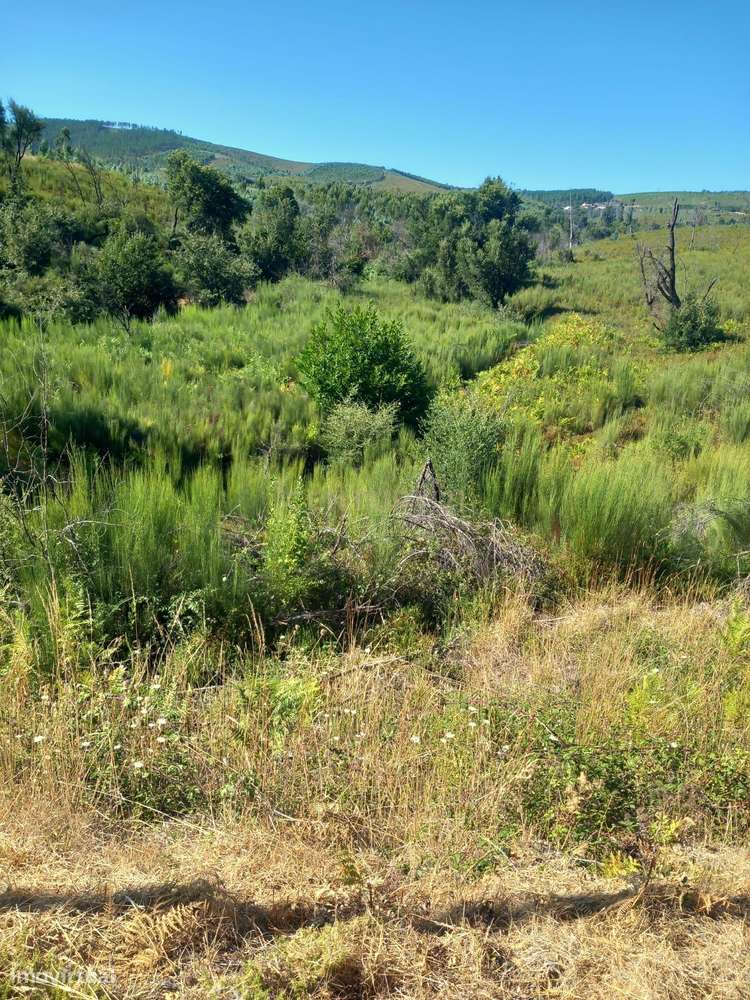 Terreno Roqueiro, Estreito - Grande imagem: 4/4