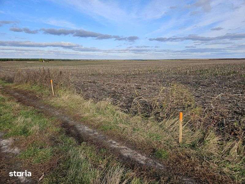 Teren intravilan de vanzare in Catamaresti Deal - Imagine principală: 4/8