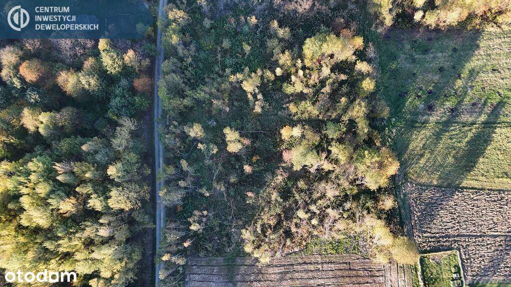 Ładna Budowlana działka 14,8a Lubenia z WZ - Pełny obrazek: 5/12