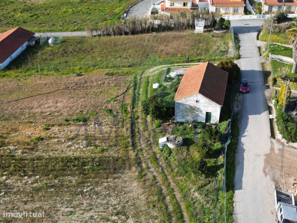 TERRENO RÚSTICO | AMOREIRA | OBIDOS - Grande imagem: 3/14