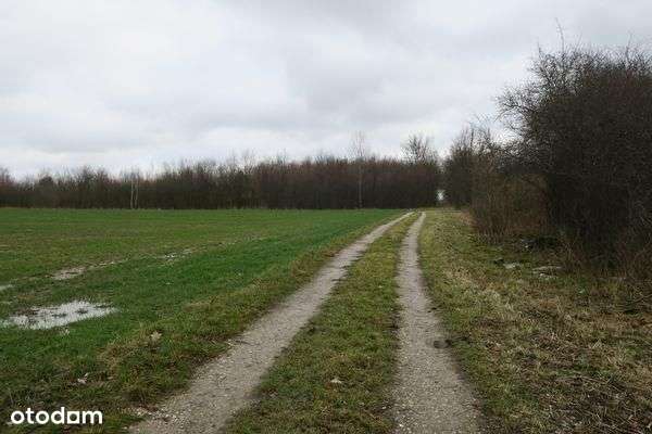 Dom, 107 m², Młodocin Większy - Pełny obrazek: 4/7