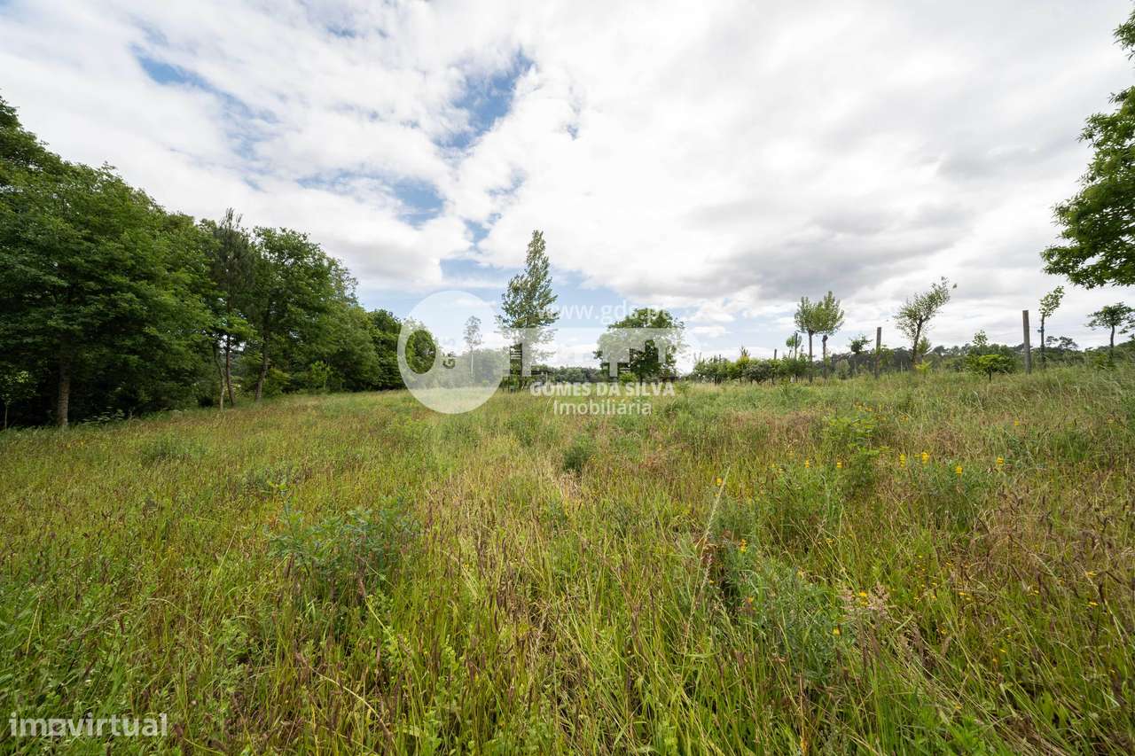 Terreno agrícola junto ao rio, Loureira, Vila Verde-6