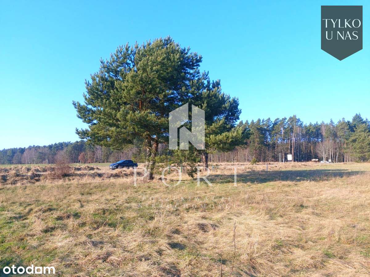 Działka w Słuchowie - 5 km do Białogóry. - Pełny obrazek: 3/5