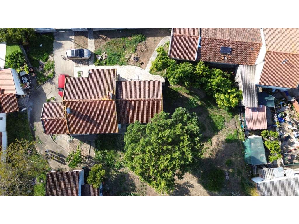 Vendese Quinta com Casa T4, Adega, Lagar e Terreno com Árvores de F...-9