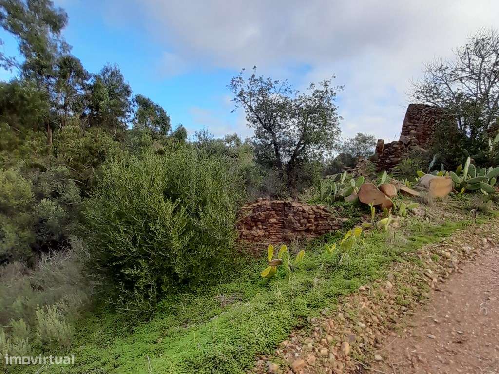 Terreno com ruína, Santa Catarina da Fonte do Bispo, Tavira, Algarve - Grande imagem: 2/11