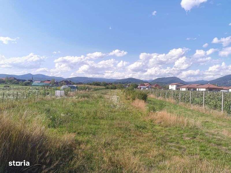 Teren intravilan, sat Sasar - Imagine principală: 4/4