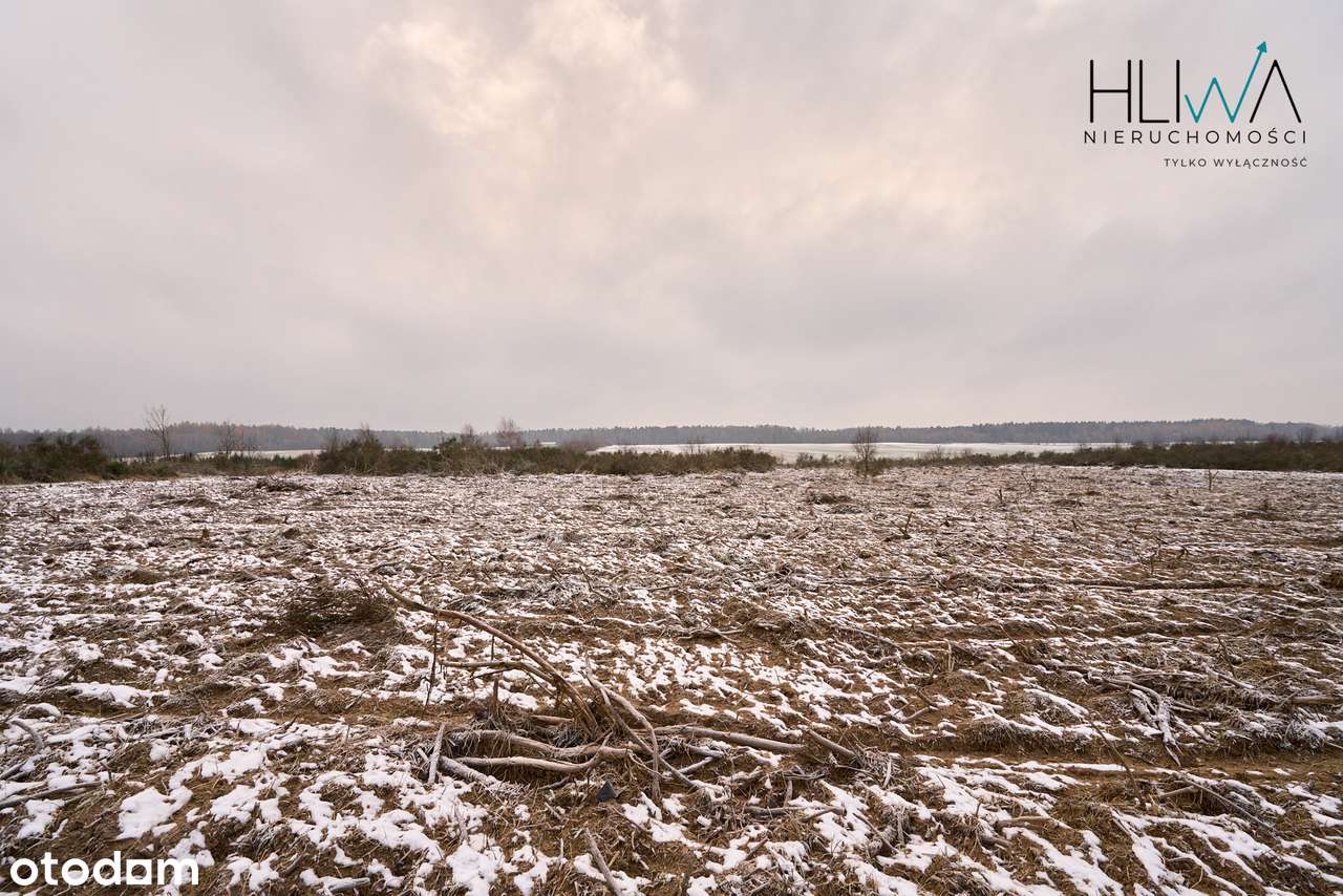 Działka zagrodowa Mierzyno gm. Gniewino 3011 m2-9