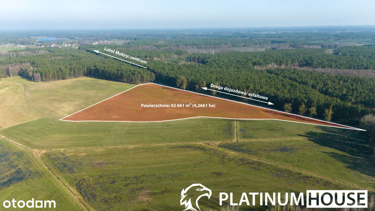 Działka rolna 4,26 ha | Lutol Mokry | Inwestycja - Pełny obrazek: 2/11