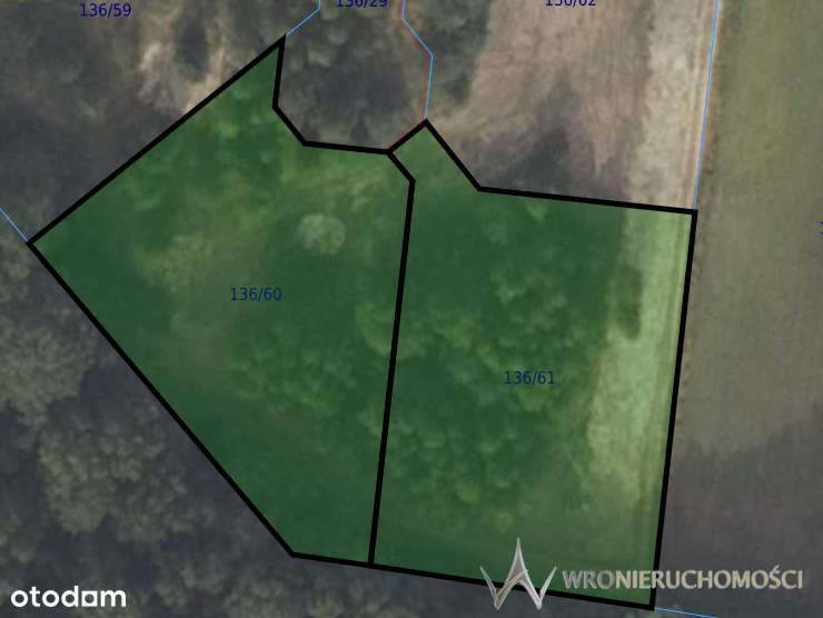 Działka budowlano letniskowa przy lesie I ok 30 ar - Pełny obrazek: 4/5