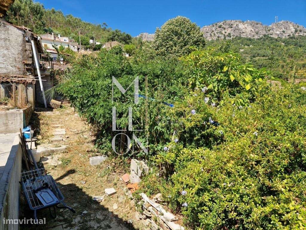 Moradia T3+1 com Sótão Amplo, Ruína e Potencial para Piscina | Gavião-18