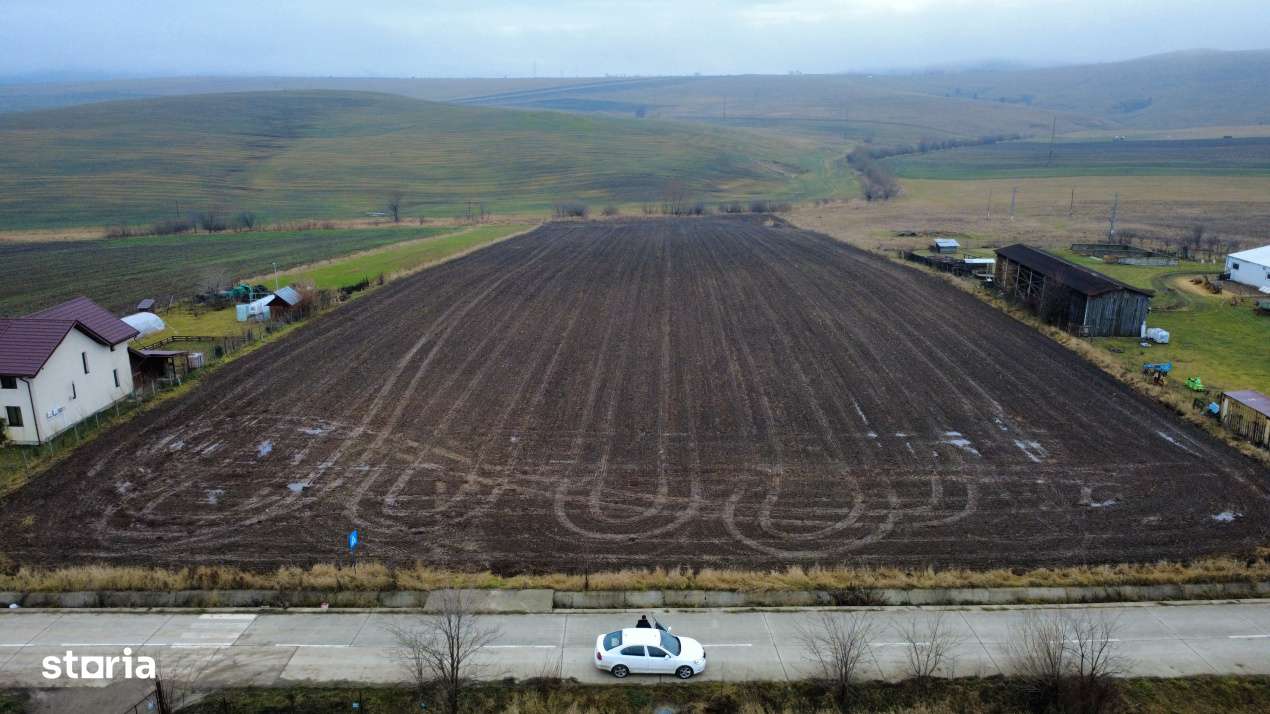 Teren 8.400 mp Negresti – ideal gospodarie, ferma, natura si liniste - Imagine principală: 4/9