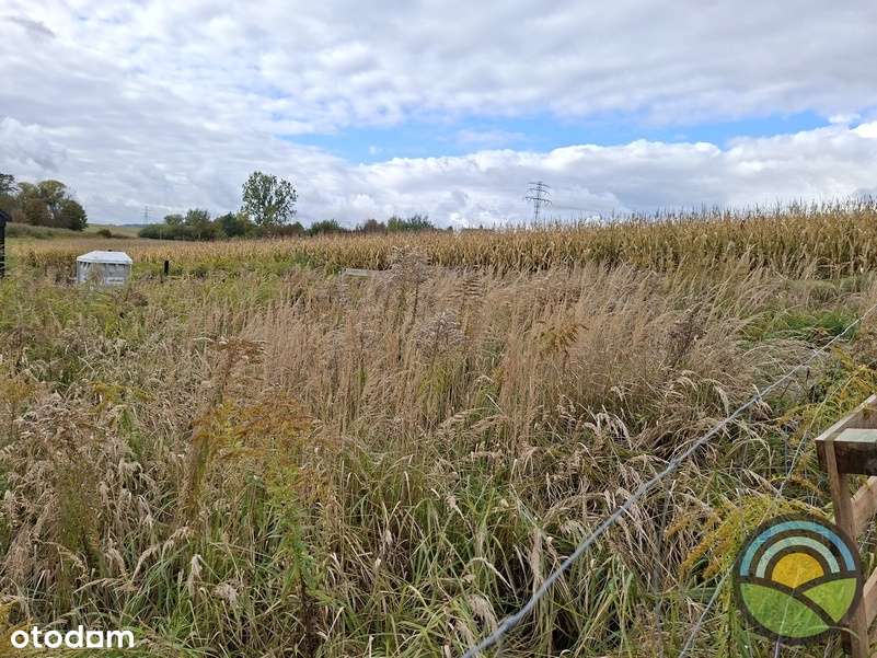 Działka budowlana 700 m2 k/ Zabierzowa-3