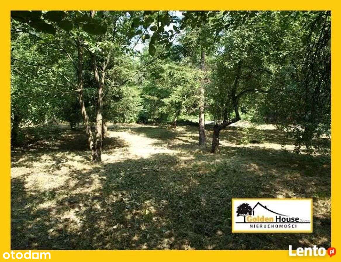 SOSNOWIEC, OSTROWY, ATRAKCYJNA DZIAŁKA POD ZABUDOWĘ JEDNORODZINNĄ-12