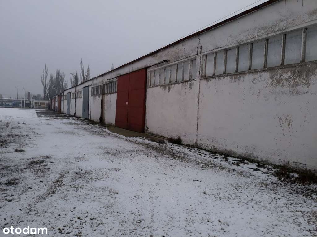 Syndyk sprzeda magazyny w Żninie, - Pełny obrazek: 5/7