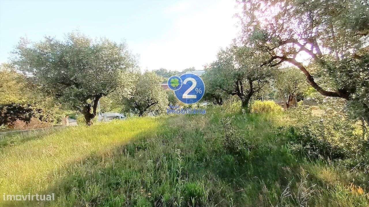 Terreno para Construção - Cortes-3