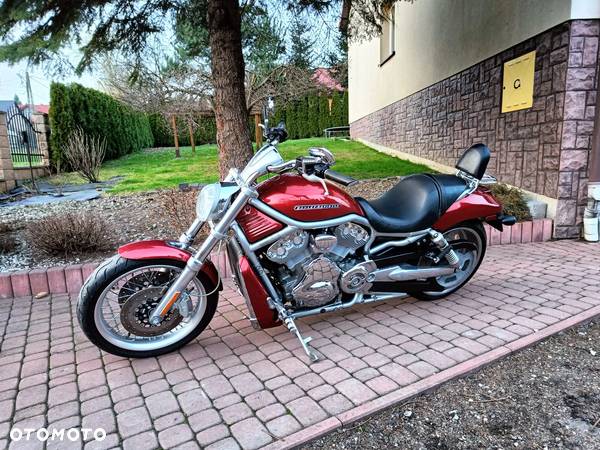 Harley-Davidson V-Rod Muscle - 1