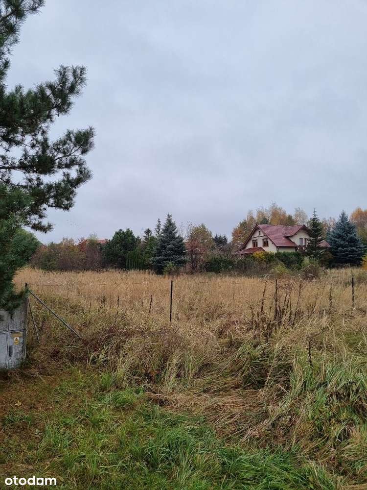 Działka niezabudowana - Racula