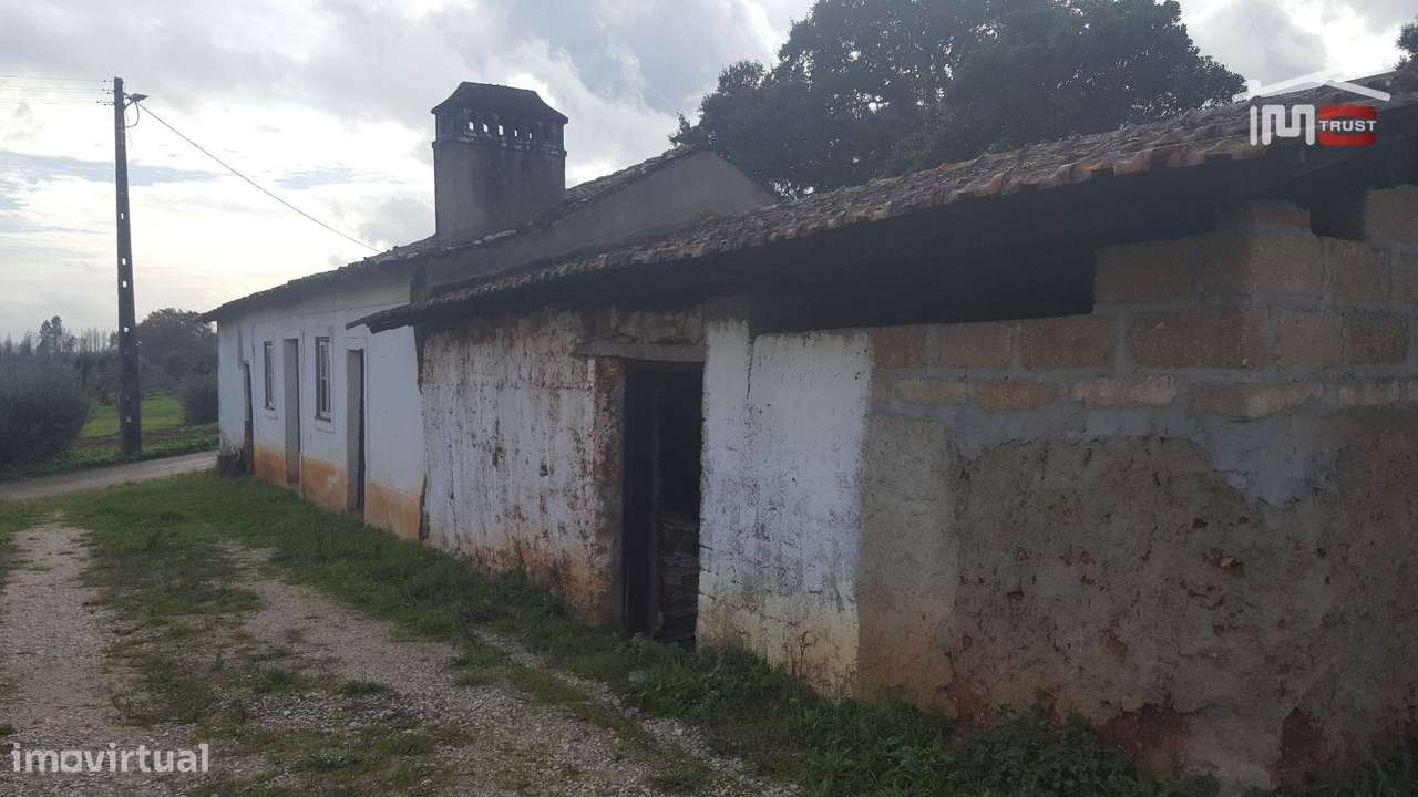 Moradia T2 térrea para restaurar com terreno 2061 m²  em Freixianda - Grande imagem: 3/33