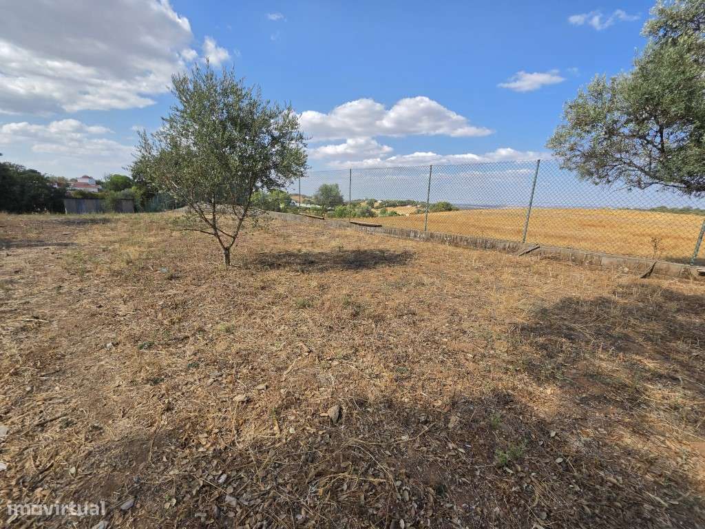 Moradia T3 em Vila Viçosa, com garagem, inserida em lote de 3500 m2-24