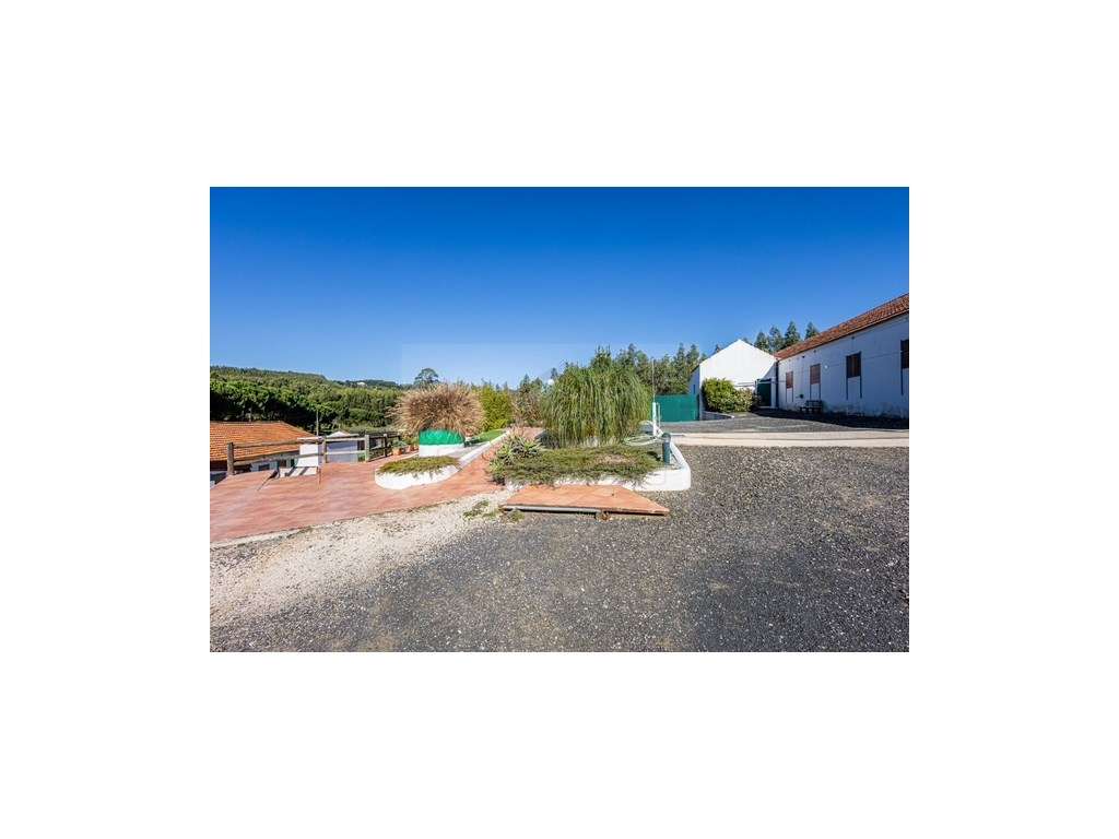 Quintinha com habitação, armazéns e terreno - Rio Maior-26