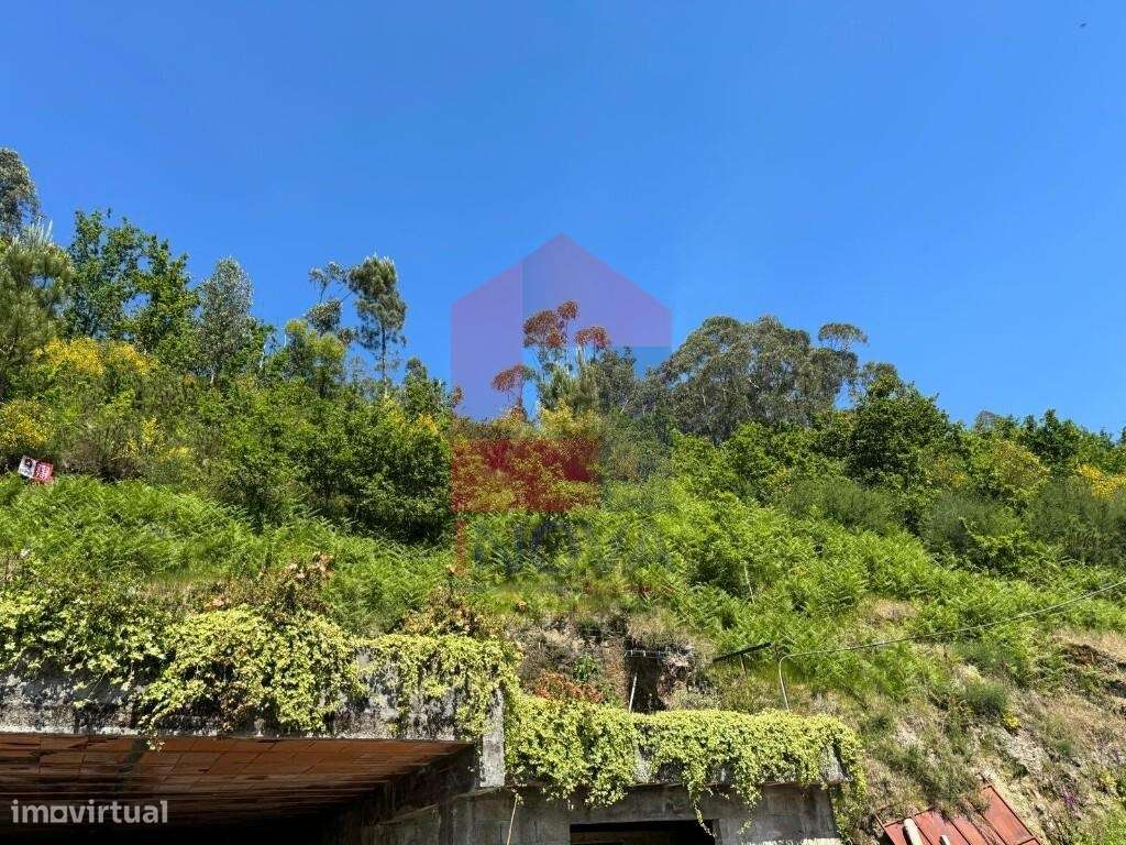 Terreno Florestal, Sande - Grande imagem: 3/8