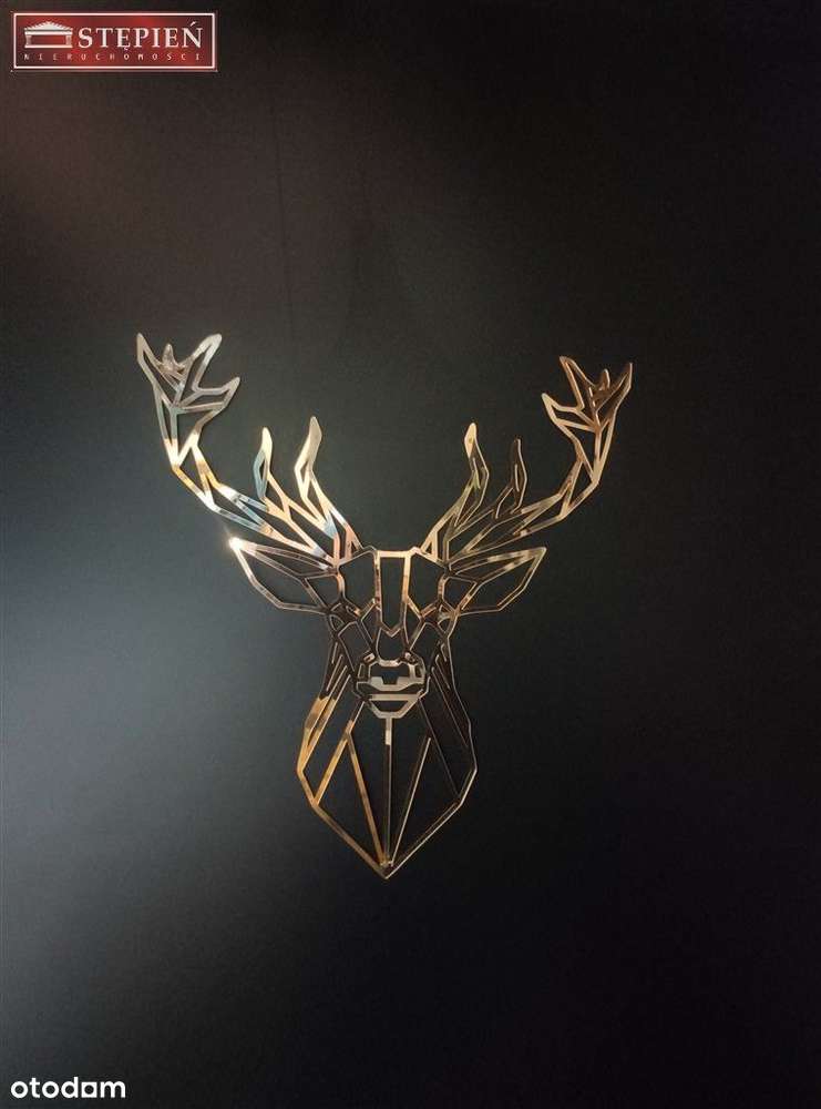 Mieszkanie po generelnym remoncie - Pełny obrazek: 4/13