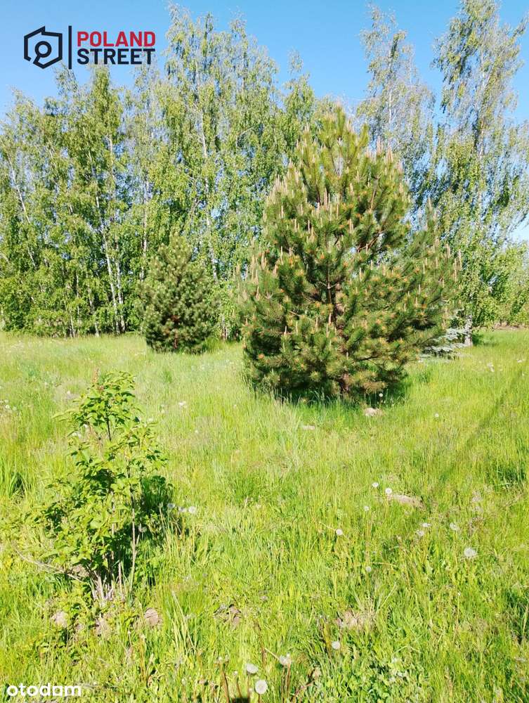 Urokliwy dom w sercu natury grunt 2,63ha-14