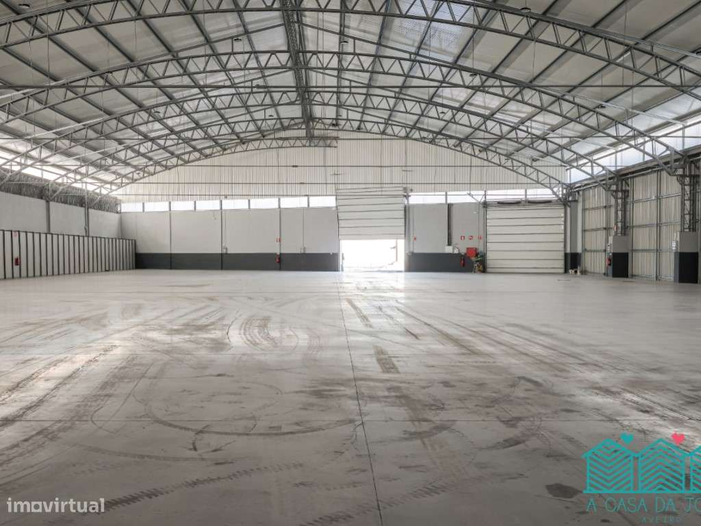 Armazém com 2400m2 em Oliveira do Bairro - Grande imagem: 1/34