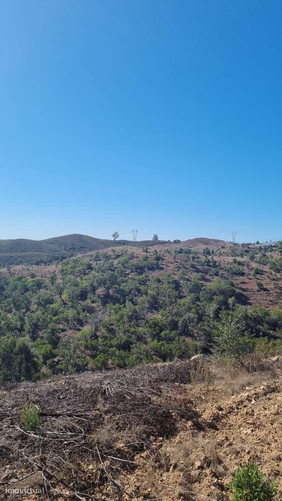 Terreno de 11H - Santana da Serra - Disponível - Grande imagem: 5/9
