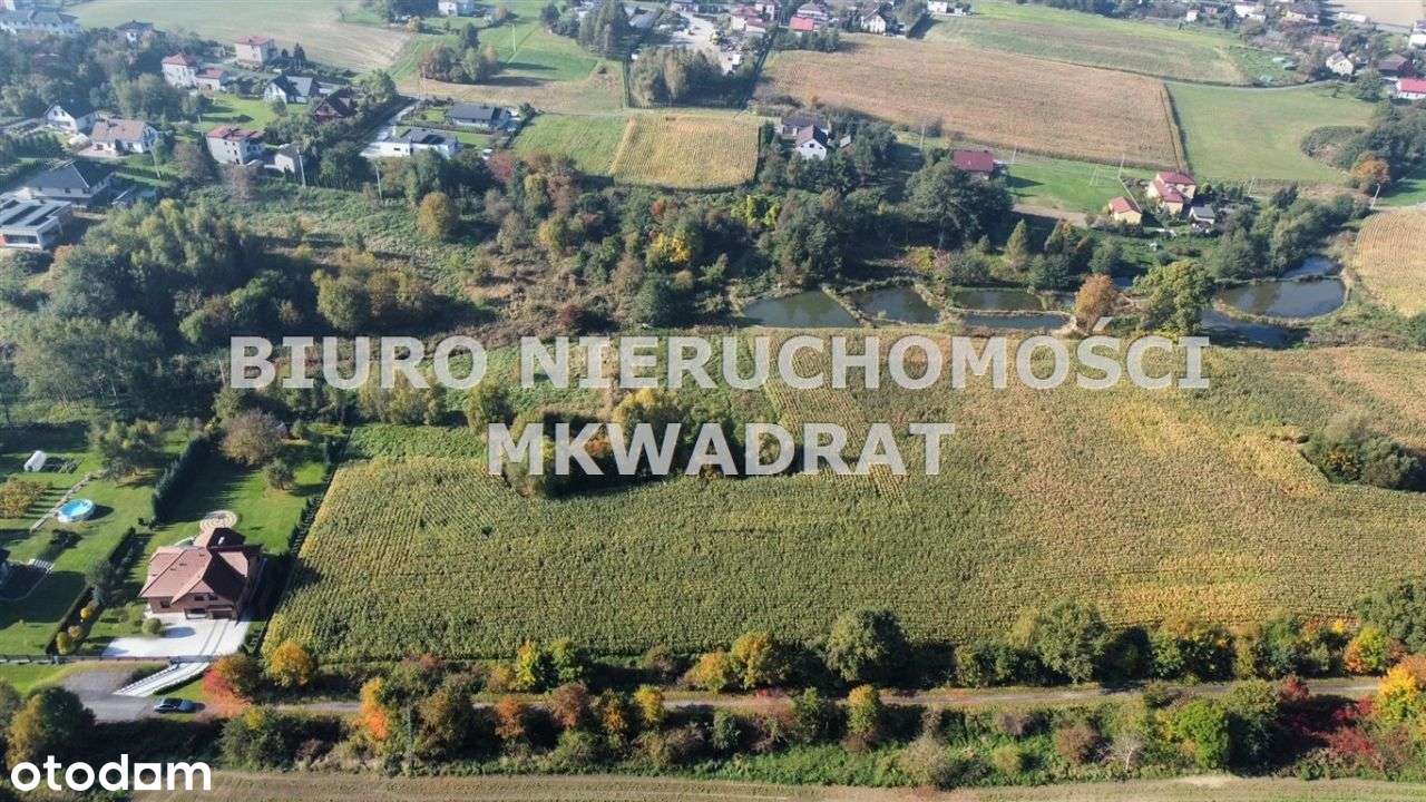 Działka budowlana, 4784 m2, Czernica - Pełny obrazek: 5/5