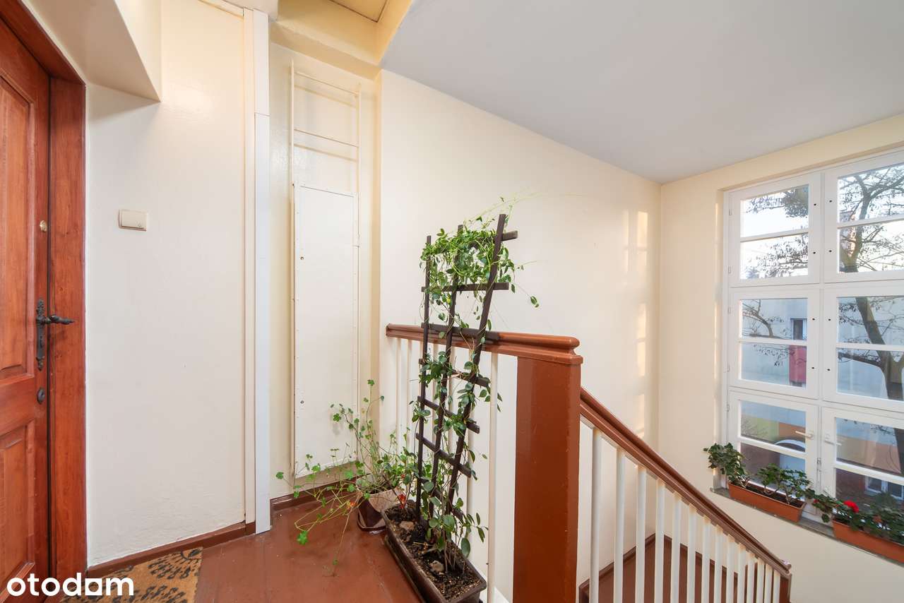 Tramwaj  I  Spokojna okolica  I  Tereny zielone-8