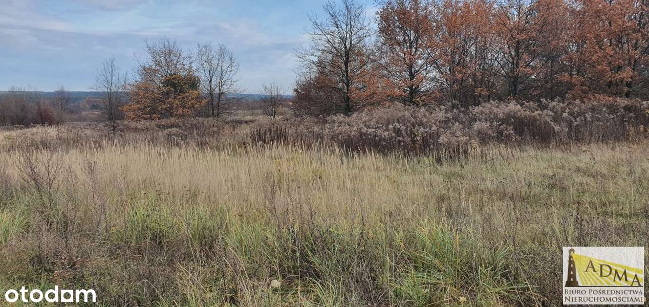 Mierzęcice Zawada 2 działki budowlana każda po 10 ar-8