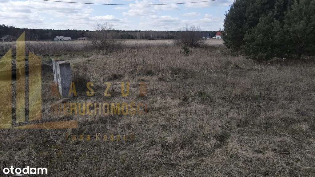 17/15585/OGS - Pełny obrazek: 4/9