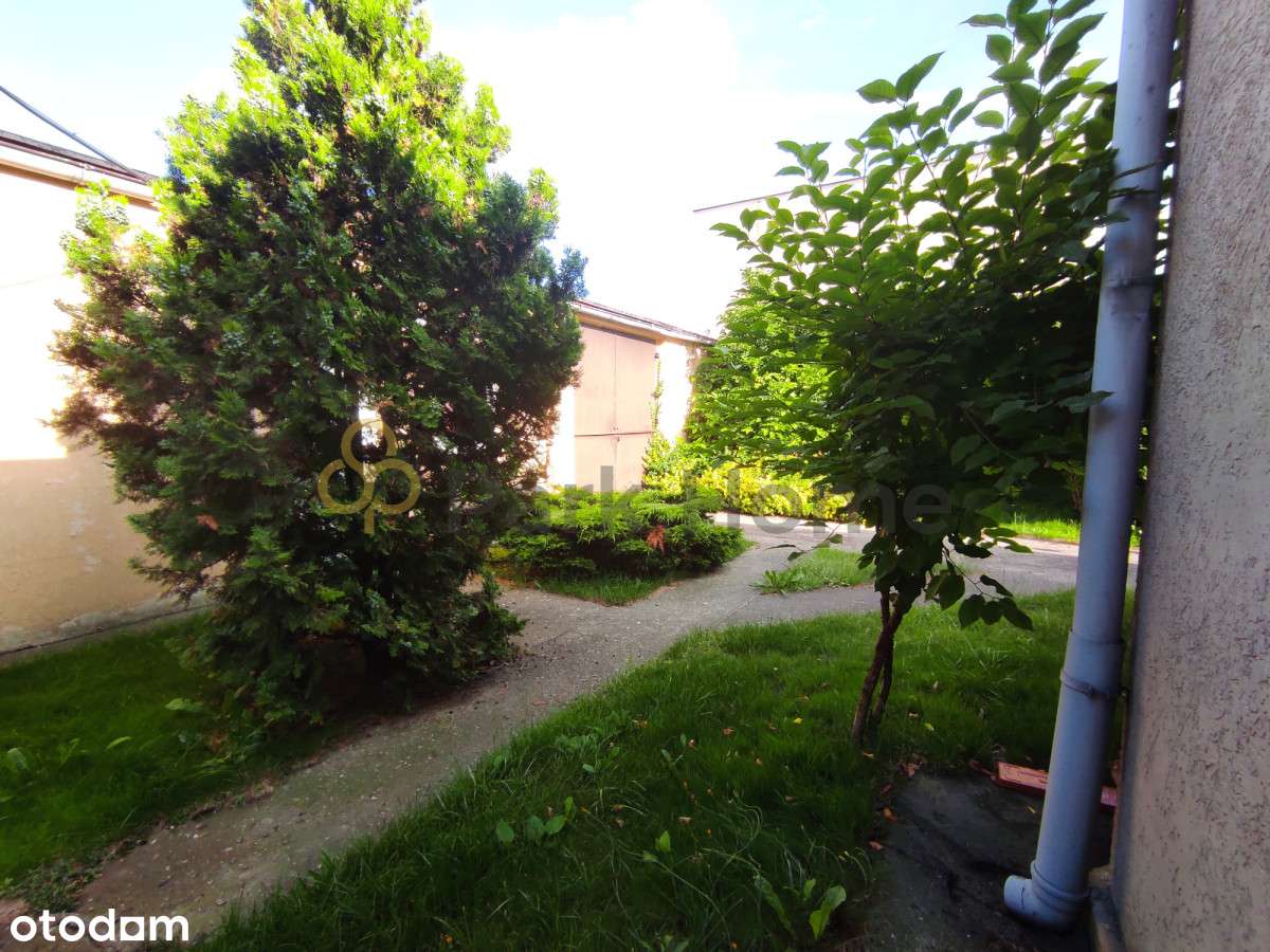 Lokal pod działalność gospodarczą Dolsk - Pełny obrazek: 5/10