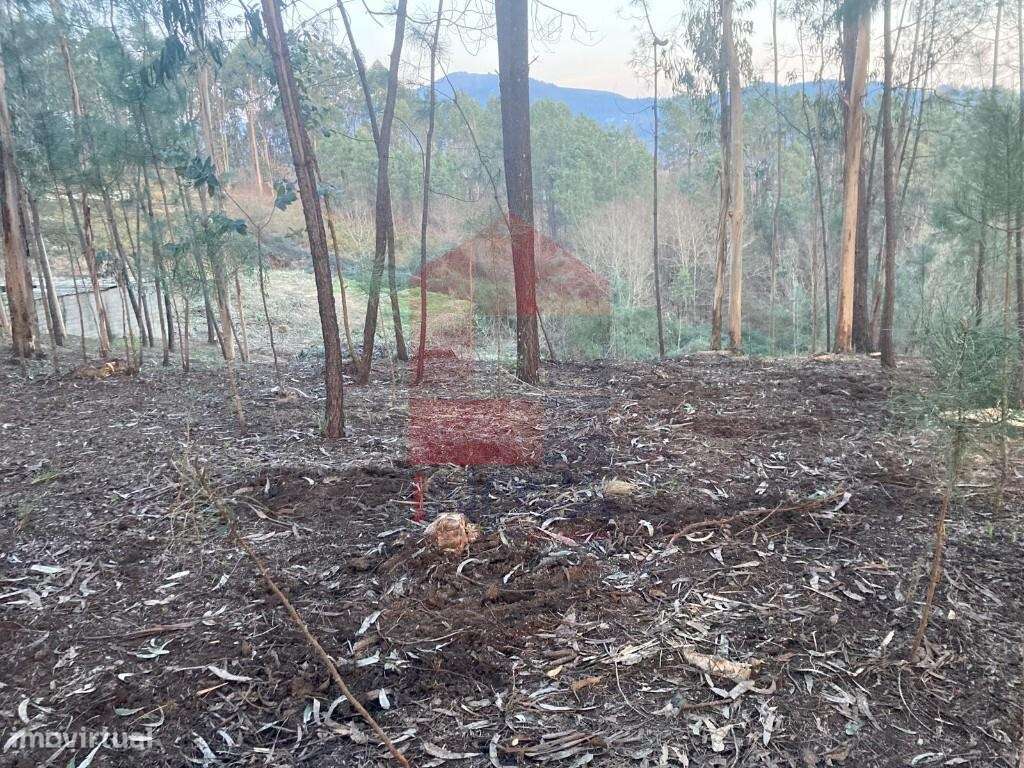 Terreno construção, Sabariz - Grande imagem: 5/27
