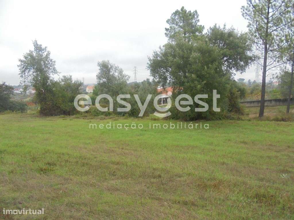 Terreno Rústico em Tomar - Grande imagem: 2/7