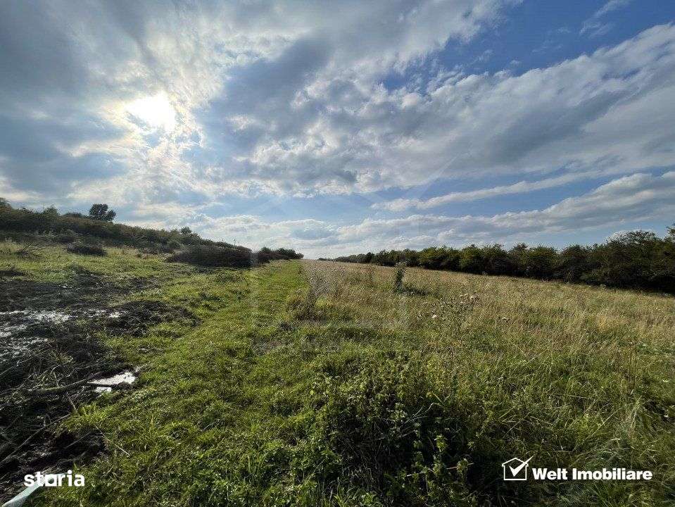 Teren in zona Wonderland cu certificat de urbanism pentru 4 case, view - Imagine principală: 3/4