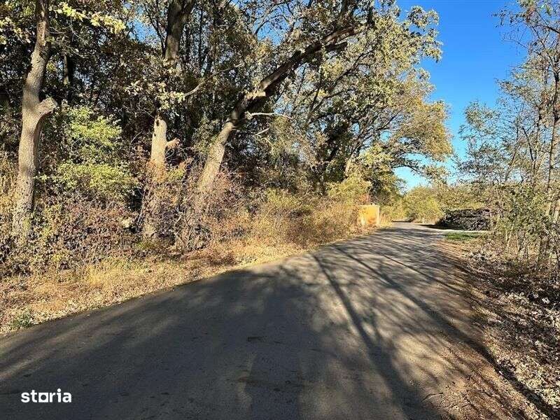 Teren intravilan 1170 mp Corbeanca Padurea Tamasi-0