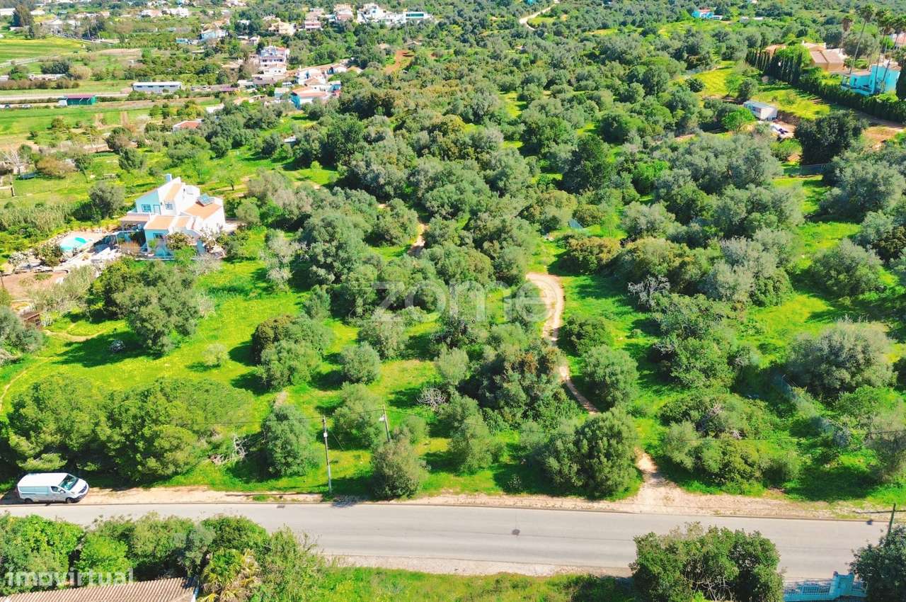 Terreno Rústico Bemposta - Grande imagem: 5/15