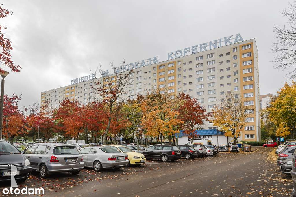 3 pok. po gruntownym remoncie z widokiem na zieleń-18
